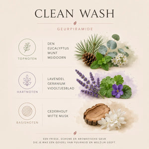 Clean Wash Bundle